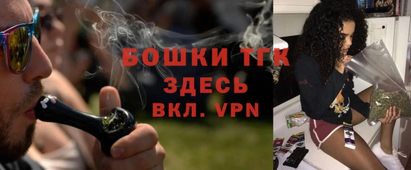 мдпв Богородск