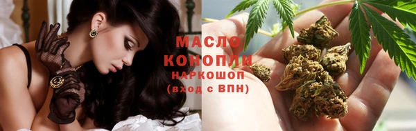 мдпв Богородск