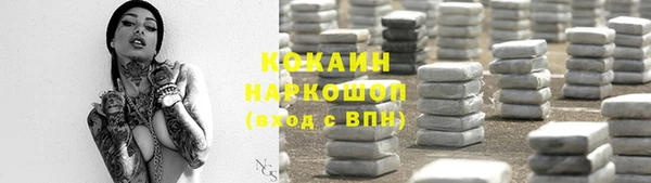 крисы Дубовка