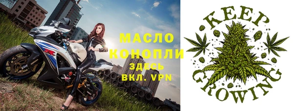 мдпв Богородск
