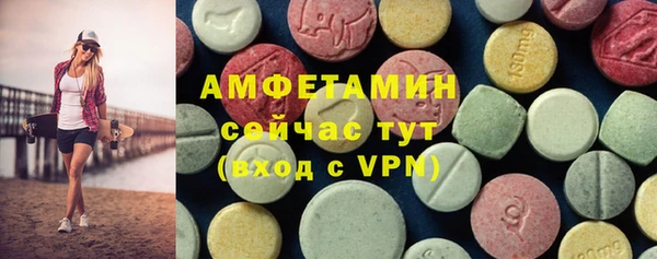 мдпв Богородск